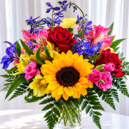 Sunflower delight