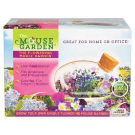Boxed mouse-shaped glass terrarium garden kit with flowers pictured on the packaging