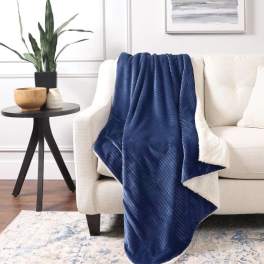 Blue throw blanket draped over a cream sofa beside a potted plant and small table