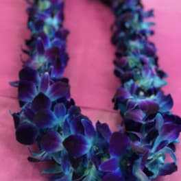 Purple and blue floral lei on a pink background