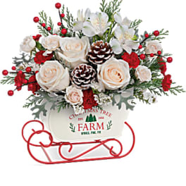 Christmas bouquet with white roses and red berries in a sleigh container