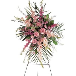 TF198-1 Pink Promise Spray