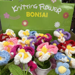 Knitting Flower Bonsai