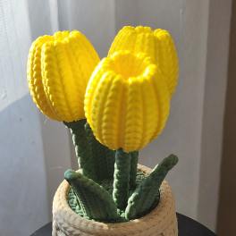 Three yellow tulip-like blooms in a woven basket pot