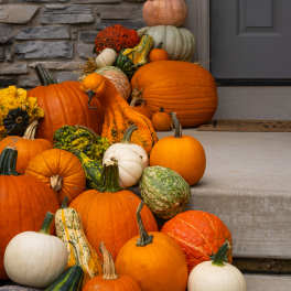 Stacked pumpkins and gourds arranged by a front door