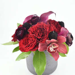 Sultry Blooms