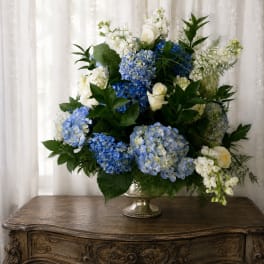 Pretty and blue