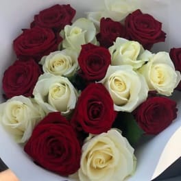 Bouquet of red and white roses wrapped in white paper