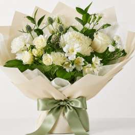 OUR CHOICE - CLASSIC WHITES