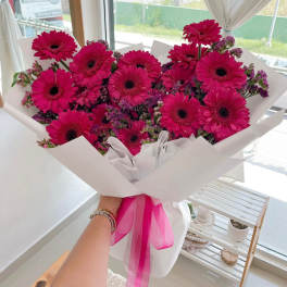 Bouquet of bright pink gerbera daisies wrapped in white paper with a pink ribbon