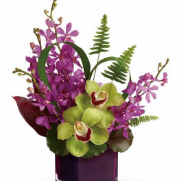 Orchid Paradise Cube