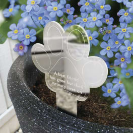 Blue forget-me-not flowers in a black pot with a paw-print memorial marker