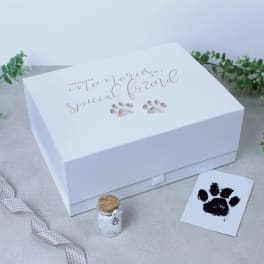 White memorial keepsake box with paw print design and a small glass vial