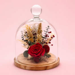 Red rose arrangement under a glass dome on a wooden base