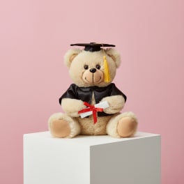 11" Graduation Bear