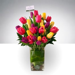 Colorful tulip bouquet in a clear rectangular vase
