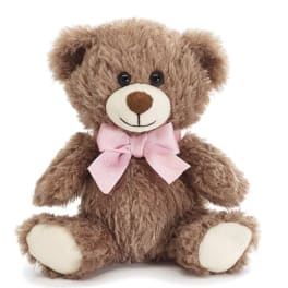 Brown teddy bear with a pink bow on a white background