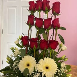 One Dozen red rose arrangement with white mix flowers
