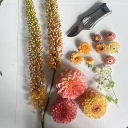 Assorted peach and yellow cut flowers with metal pruning shears on a white surface