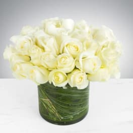 Two Dozen White Roses by BloomNation™