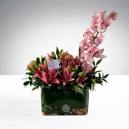 Blush Orchid Elegance by The House of Flowers