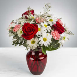 Boldly Bashful by BloomNation™