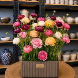 Mixed pink, peach, yellow, and white flowers in a rectangular planter