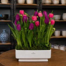 Pink and purple tulips arranged in a white rectangular planter