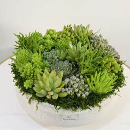Luxury Succulent Garden Bowl