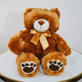 Cute Gift Teddy
