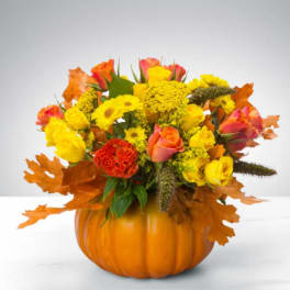 Pumpkin Power by BloomNation™