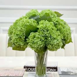 Green hydrangea bouquet in a clear glass vase