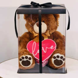 Love Teddy Bear with Heart Box & Gummy Candies