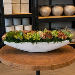 Long succulent arrangement in a white boat-shaped planter