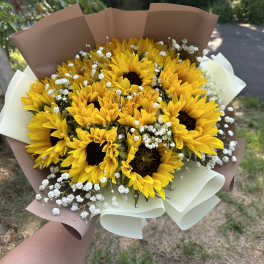 Bouquet of yellow sunflowers with white baby's breath in brown and white paper