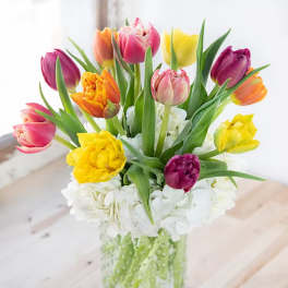 Colorful tulips arranged in a clear glass vase