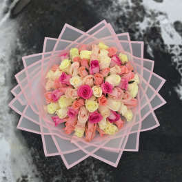 Rosa Perfecto