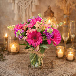 gerberas y stock
