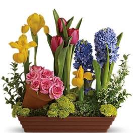 Mixed bouquet with pink roses, tulips, yellow irises, and blue hyacinths in a rectangular planter