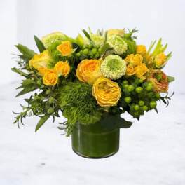 Citrus Meadow Glow