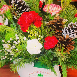 Christmas arrangement with carnations, pinecones, and evergreen branches in a decorative container