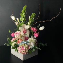 Spring Delight