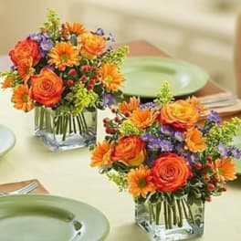 Two orange and purple floral centerpieces in square glass vases on a table