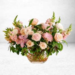 Blush Haven