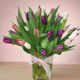 vidrio tulipan