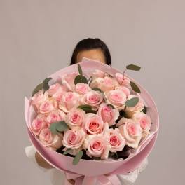 Blush Dream