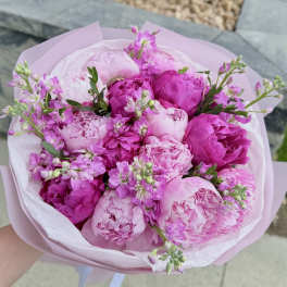 Raspberry Sorbet Pink peony mix