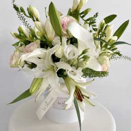 Serene Elegance Box