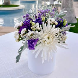 Violet Elegance Table Top Vases (Set of 4)