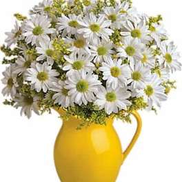 Teleflora's Sunny Day Pitcher of Daisies
